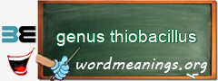 WordMeaning blackboard for genus thiobacillus